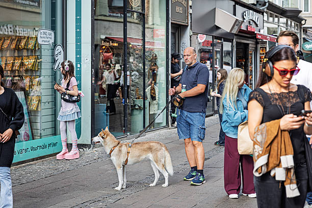 Copenhagen, Denmark - August 30th 2025:  A man and his dog stand beside a young woman dressed as a Japanese anime character in front of a store in central Copenhagen. The photo captures the city’s famous pedestrian street, known for its lively and eclectic atmosphere—especially in summer, when locals and visitors alike bring vibrant energy to the heart of the capital.