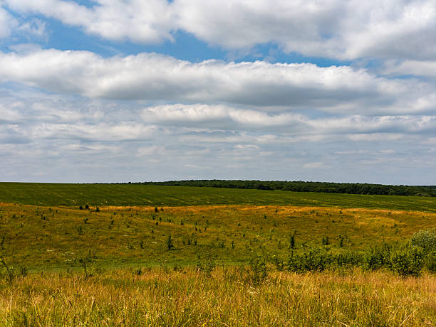 istock A grassy field with a few clouds in the sky 2233485094