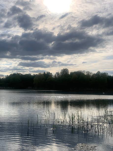 istock Evening at a beautiful lake 2233487209