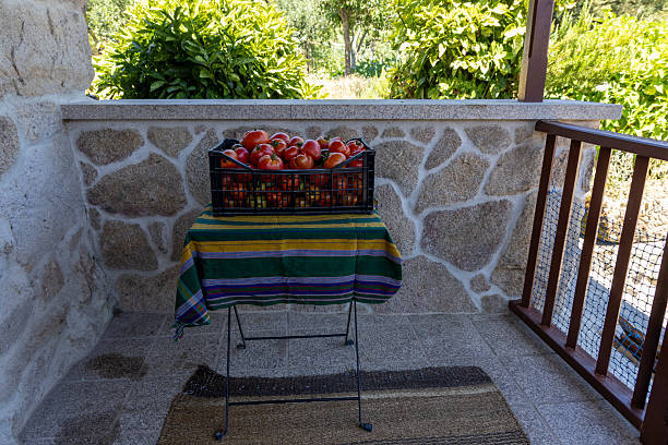 A table with a basket of tomatoes on it. The table is on a porch