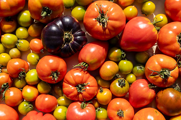 istock A bunch of tomatoes and green tomatoes are spread out on a table 2233488038