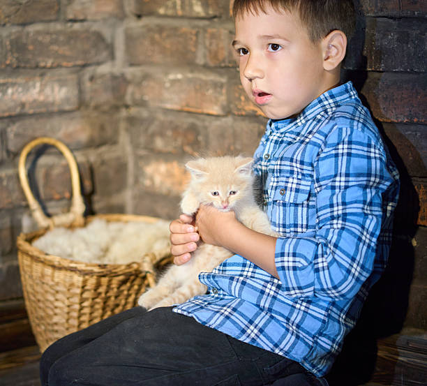 Asian active curiuos Toddler boy Playing Joyfully with awhite pomeranien Puppy dog best friend together at backyard with fun and happiness