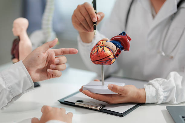 istock Patient consulting cardiologist about heart condition. 2233492550