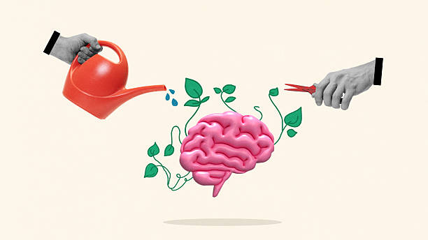 istock Surreal collage. Brain with green vines watered and trimmed by hands symbolizing mental growth and care 2233494664