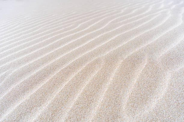 istock Close-up detail of natural patterns on sand dune surface 2233495558