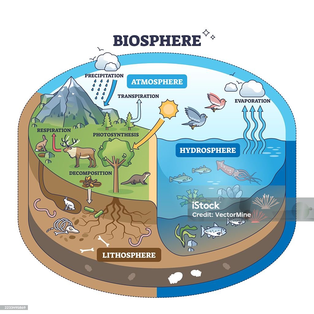 Diosphere Biosphere Diagram Shows Interactions Between Atmosphere Hydrosphere And ...