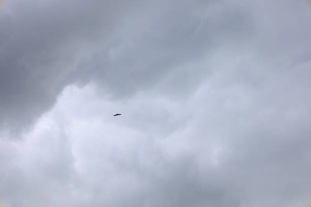 A moody shot featuring a lone bird soaring high under a sky filled with heavy, gray storm clouds. The image conveys a sense of space, solitude, and calm.
