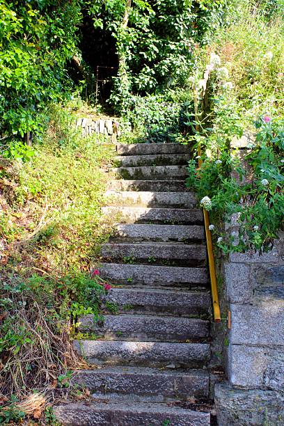 istock Staircase leading upward into dense greenery, bordered by wild plants and a yellow handrail. 2233497269