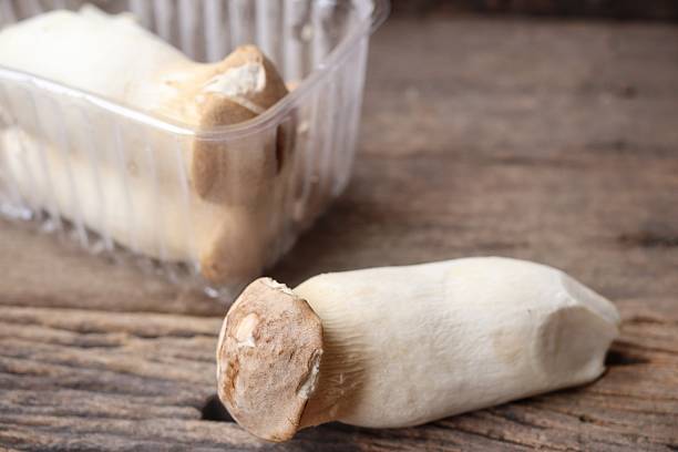 istock Fresh white shimeji mushrooms in tray 2233499674