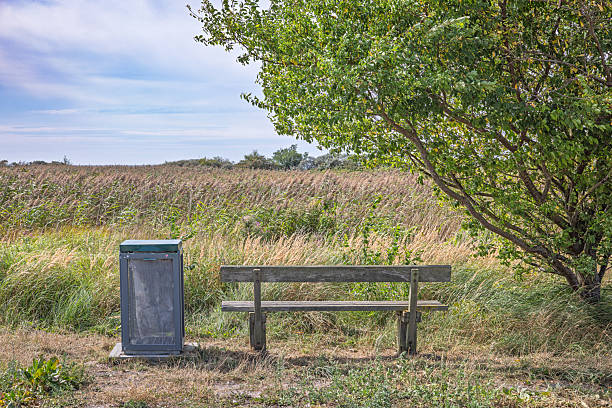 A standard municipal setup featuring a bench and trash bin placed near the beach at the southern tip of Amager Island, Denmark. The location is part of a natural area just 30 minutes by public transport from downtown Copenhagen, offering visitors a quiet spot to rest while enjoying the surrounding landscape.
