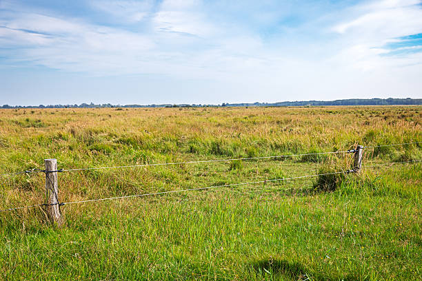 An electric fence stretches across the open terrain of Kalvebod Fælled, a reclaimed seabed at the southern tip of Amager Island near Copenhagen, Denmark. During summer, the area serves as pastureland for cattle while also functioning as a public park. Just 30 minutes by public transport from the city center, this unique landscape blends natural conservation with urban accessibility.