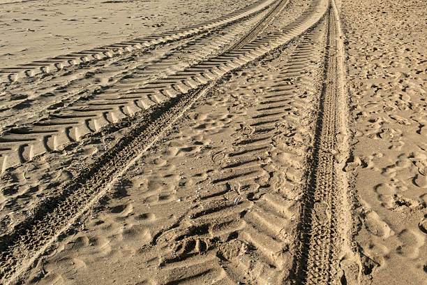 istock Tire tracks crossing sandy beach in wassenaar, netherlands 2233502113