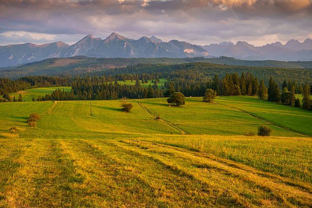 Wide green fields extend towards a distant mountain range. Trees are scattered across the rolling landscape under a cloudy sky. The scene is illuminated by warm light.