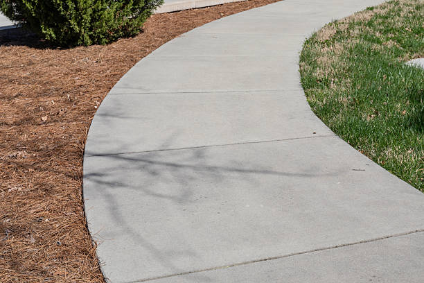istock Sweeping concrete walkway flanked with grass and pine straw landscaping, creative copy space for walking theme, horizontal aspect 2233506421