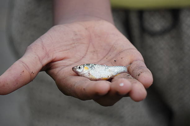 The boy is holding the fish he caught