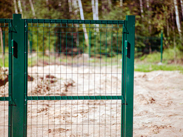 istock metal mesh painted in green 2233508994