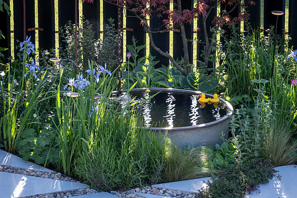 A serene pond features green lily pads floating on the water's surface, with large stones creating a pathway. Tall grasses and plants line the edges, enhancing the peaceful atmosphere.