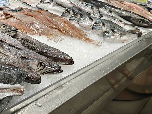 istock Fresh fish on ice in the supermarket. 2233517291