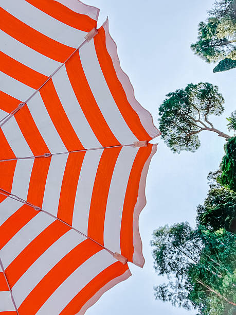 istock Striped Beach Umbrella Against Blue Sky and Trees 2233519579