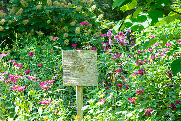 Empty wooden sign and post among colorful wildflowers with sunlight and shadows. Bokeh.