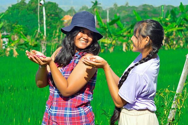 istock Girls smiling while holding pink sword bean seeds 2233524535