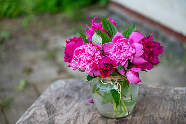istock Pink peony flowers bouquet in a vase 2233527547