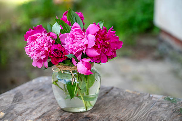 istock Pink peony flowers bouquet in a vase 2233527567