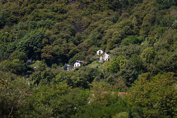 istock Small huts immersed in the forest of a mountain 2233527961