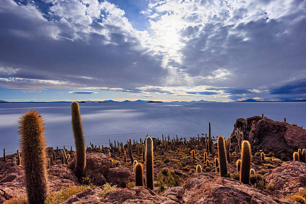 Inkawasi (Quechua, meaning \