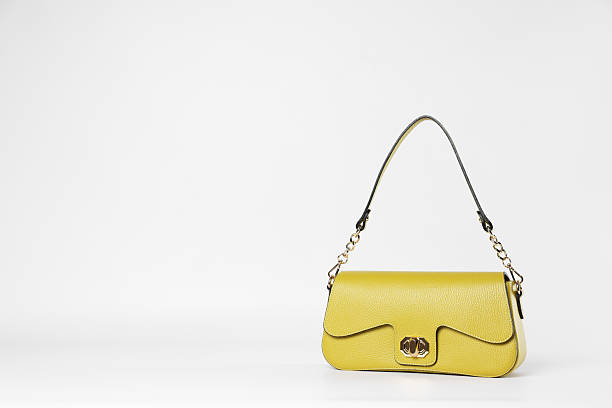 istock Elegant women baguette handbag on white background. Space for text 2233531328