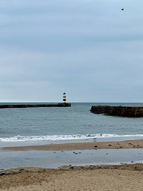 istock A distant lighthouse overlooks the bay, standing tall on the pier with calm waters stretching out. The scene evokes coastal charm, safety, and maritime heritage against a soft sky and sea. 2233532268