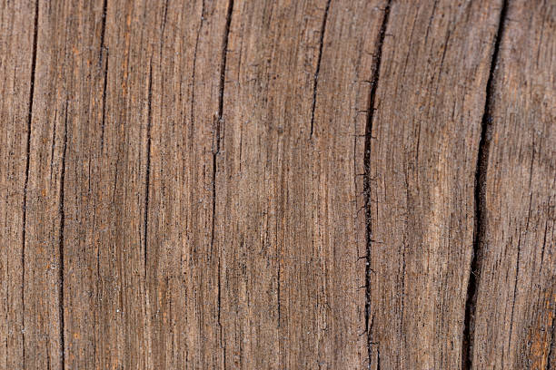 Macro of brown wood grain showing vertical lines and natural cracks.