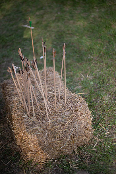 Arrows embedded in a hay bale, ready for archery practice in a field.