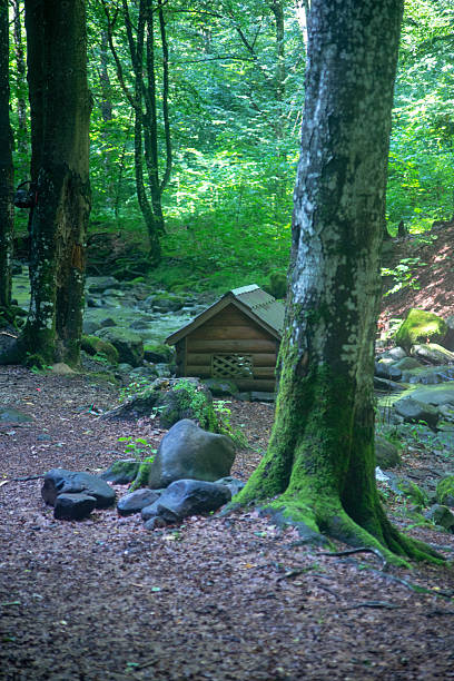 istock A tranquil forest scene with a wooden cabin nestled beside a stream. 2233539085