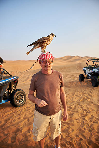 istock Senior man holding falcon in Dubai desert 2233540809