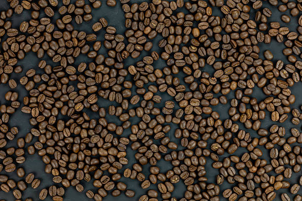 Falling coffee beans white background isolated shadows 3D rendering. Flying floating arabica grains espresso latte cappuccino hot drinks sale. Coffee roasters shop product delivery advertising promo.