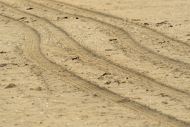 Parallel tire tracks crossing a sandy beach, creating lines in the sand