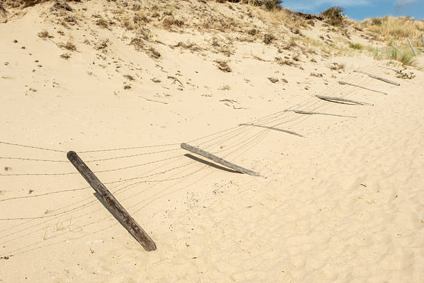 Barbed wire fence safeguards delicate sand dunes from erosion on a sunny beach, promoting environmental conservation