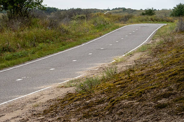 istock Winding bike path through dutch dunes in wassenaar, netherlands 2233546438
