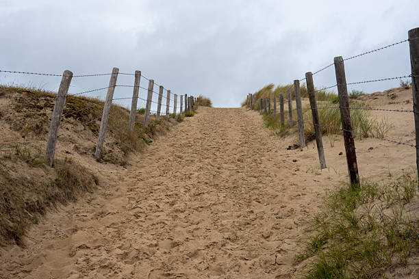 istock Sandy path leading up dune with wooden fence and barbed wire 2233546448