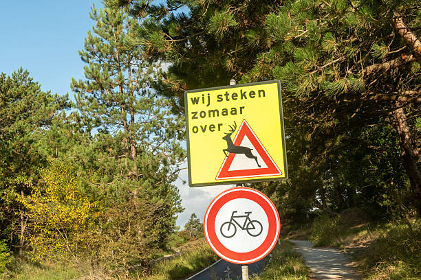 istock Deer crossing sign warning drivers in forest area with no bicycle allowed 2233546471