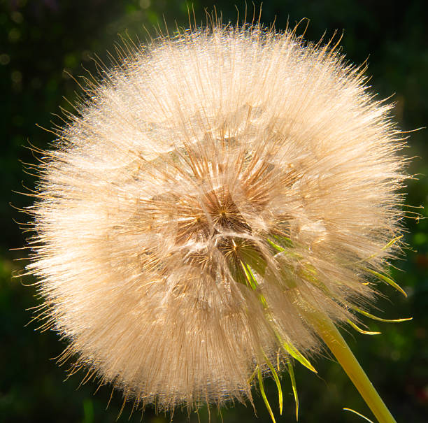 just a photo of nature