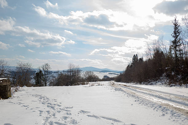A snow-covered landscape features a road winding through trees under a cloudy sky on a bright winter day.