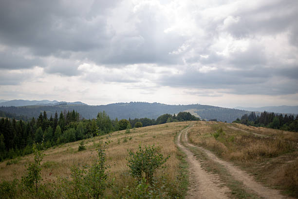 A scenic landscape with a dirt road winding through a grassy hill under a cloudy sky.