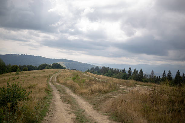 istock A scenic dirt road winds through a field, leading towards distant hills on a cloudy day. 2233547492