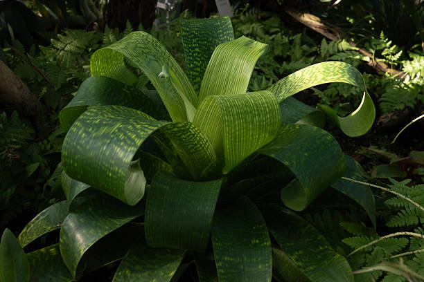 just a photo of nature