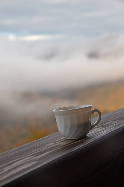 istock A teacup on a wooden deck with a misty mountain backdrop. 2233549503
