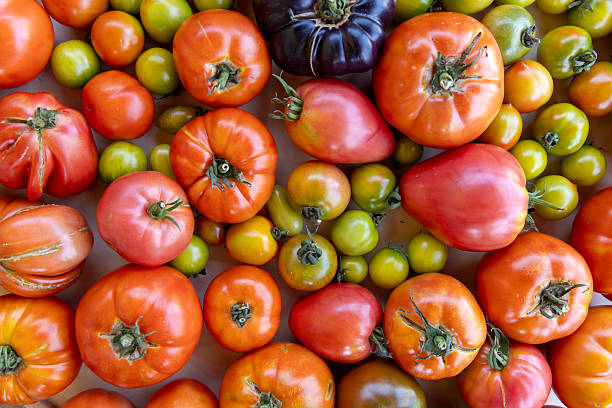 istock A close up of many different colored tomatoes 2233551698