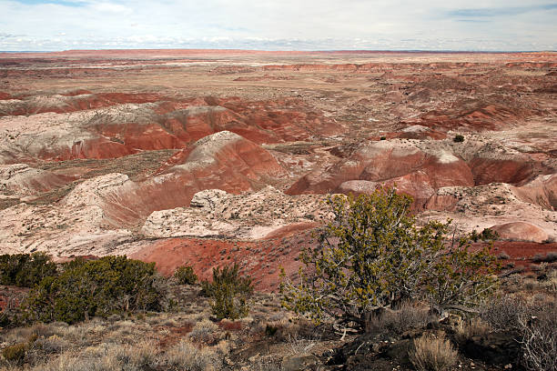 Overlooking the beautiful landscape of Petrified Forest National Park with many different colors exposed from erosion.