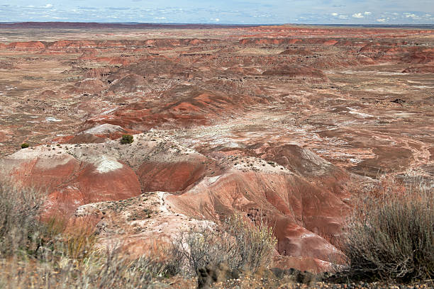 istock Pale red hills at Petrified Forest national park 2233551861